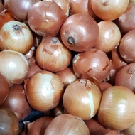 BAWANG BOMBAY/ BAWANG BOMBAY UKURAN SEDANG 1KG