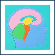 Human Body Puzzles for Kids EVA Brain Science Experiment Supplies DIY Human Body Puzzle Model for Bo