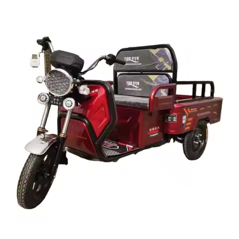 Export China Cheap Adult Electric Tricycle 3 Wheel Electric Cargo Bike Electric Vehicle Tricycle for