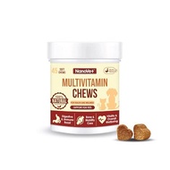 NANOVET MULTIVITAMIN CHEW (45 CHEW)