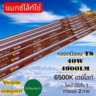 maxlightzo หลอดนีออนLED/T8/40W4900LM6500K สว่างจนตะลึง