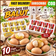 Mr. Squirrel Balut egg 10pcs/Box 2 flavors to eat/cooked Balot egg health delicious egg