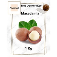 (Australia) 1kg Roasted Macadamia Nut with Shell 烤夏威夷果