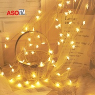 ASOTV 3M 20 LED Star Deco Light Wedding Raya Xmas Lampu Raya 1173 Lampu Raya Fairy Lights Blinking Lights Lampu Kelip