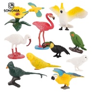 [SONONIA] 10pcs Mini Bird Model Egret Parakeet Macaw Education Children World Model