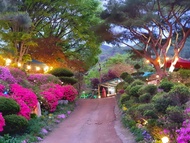Gapyeong Flower Muji Pension