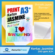 Jasmine A3+ Cardboard Paper Print / Jasmine Paper Print 200 gsm