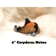 Corydoras Metae, Sterbai - Original Green Pleco Plushies, Fish Aquarium Collectibles (6 inch, 15cm)