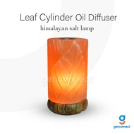 Leaf Cylinder Salt Lamp With Essential Oil Diffuser Himalayan Salt Lamp Fengshui Salt Crystal Lamp