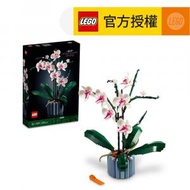 LEGO® Icons 10311 蘭花 (花藝,DIY,玩具,家居飾品,擺飾,禮物)