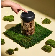 Fellow Electric Atmos Canister