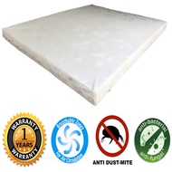[FREE GIFT 1 X RM99 T-SHIRT]  Queen 3 INCHES Rebond Foam Posture Mattress Tilam - Queen Size