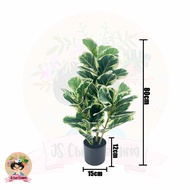 Variegated Fiddle Fig Artificial Plant Premium Quality 🔥Ready Stock🔥Pokok Fiddle Fig Hiasan House Of