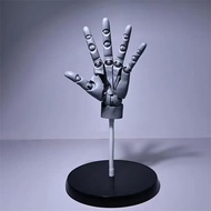 cod Articulated Hand Statue Artist Sketch Painting Figure Model Drawing Hand Finger Joint Figma Doll
