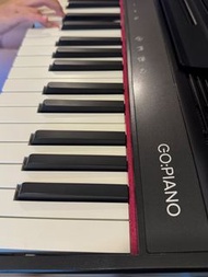 Roland GO:PIANO 61 key Digital Piano 