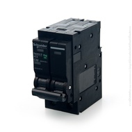 Schneider Miniature Circuit Breaker QOvs Main Breaker 2Pole 16-63A 10kA