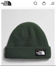 The North Face-Salty Lined Beanie墨綠色