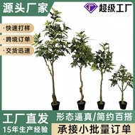 Fig Rod Fig Simulation Plastic Glue Simulation Fruit Tree Fig Potted Plant Manufacturing Unique Land