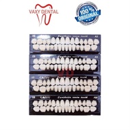 Top Gigi Caiyu Full Set 1 Set Isi 28 Butir Gigi Palsu Merk Cayu Yuying Anterior Upper Lower Posterio