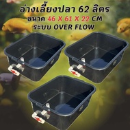 อ่างเลี้ยงปลา 62 ลิตร ระบบoverflow 46 x 61 x 22cm ท่อเดียวฟ้า อ่างปลา อ่างเลี้ยงปลา กะบะปลา อ่างปลาบ