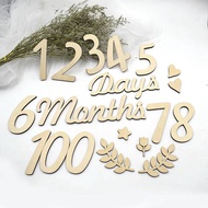 Birthday Full Month Shooting Hundred Days Wooden Board Wooden Infant Month Board months Wooden Decor