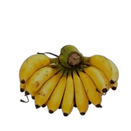 pisang raja 1sisir