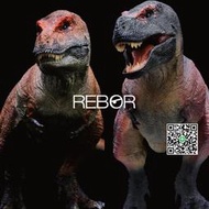 REBOR科學暴龍霸王龍侏羅紀PVC恐龍模型玩具收藏擺件