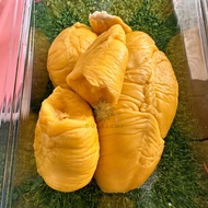 (Dukrian!) Pahang Blackgold MSW Durian (420G+) Fresh Pahang Highland MSW Durian D197! 彭亨老樹黑金猫山王榴莲