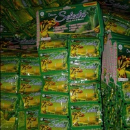 kapsul herbal daun seledri multiguna