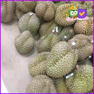 Buah Durian Montong / Monthong Palu Fresh Utuh 1 Kg - 6 Kg Original