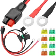45A Connecter to Ring Terminal Cable, 10AWG Dual Positive/Negative ATC Style Fuse Holder Solar Power