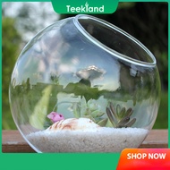 Teekland Small Fish Tank Aquarium Succulent Glass Vas Ideal Desktop Decoration for Home Office Goldfish Fighting Fish Tank