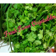 Coriander Leaves/ Daun Ketumbar 50g