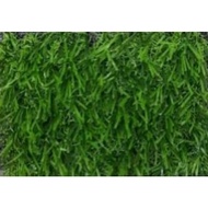 ARTIFICIAL GRASS CARPET 20MM, 2M X 1M WITH UV SUPER PADAT