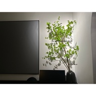 Heather branches - Fake branches - High quality products