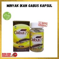 Terbaik Minyak Ikan Gabus 77 Kapsul Darusyifa Albumin Asli / Minyak