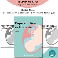 Primary 5/6 Science Guided Notes & Questions: Reproduction in Humans  | More than an Assessment Book