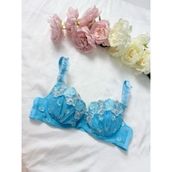 [Selection] Japanese bra size 75B
