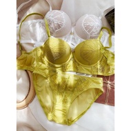 Airy Set lingerie push up sexy padded branded lingerie