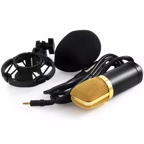 Professional Recording Studio Microphones BM700 Condenser Microphone For Computer Music Create Micro