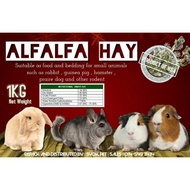 Alfalfa Hay 3Kg Green Fresh for pet lover