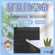 保濕 除草 透氣 打孔防草布 抑草蓆 防草布 除草布 抑草布 地膜 遮草布 防草地布 黑色膜 園藝 園藝地布 防草地布