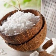 KELAPA PARUT SEGAR / BUAH KELAPA UTUH SANTAN URAP FRESH COCONUT GRATED