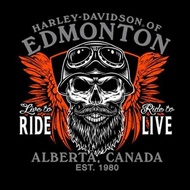 MAGIC DTF SCREEN PRINTING, EASY AND PRACTICAL, CAN BE SOLD INDIVIDUALLY, FLASH PROCESS - EDMONTON