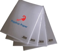 Map Bening Daichi / Clear Sleeves Holder Daichi | Map Daichi