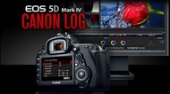 Canon 5D Mark IV 升級 C-Log