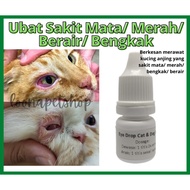 ori Ubat Mata Kucing Ubat Sakit Mata Untuk Kucing Ubat Mata Bengkak Kucing Ubat Mata Merah Kucing Ca