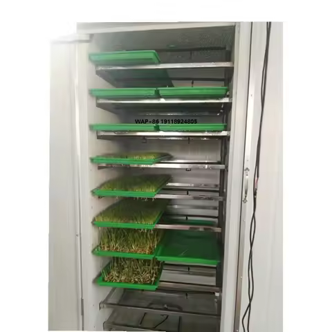New Design 25kg/day Livestocks Green Fodder Hydroponic Fodder Making Machine Hydroponic Growing Syst