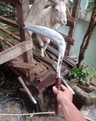 Cod Sabit Arit Rumput Super Tajam Berbahan Baja Asli Cap Pcl Asli Dan Cap Dewi Bintang Garut