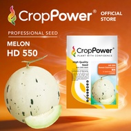 (100 SEEDS) Biji Benih Tembikai Susu Sweet Dalmation 蜜斑 HD550 CROP POWER Honey dew seeds 蜜瓜种子 HD 550